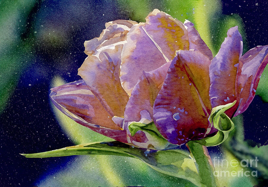 Golden Sunset Tulip Digital Art by Macro Abundance Art Golden Sunset Tulip Digital Art by Macro Abundance Art