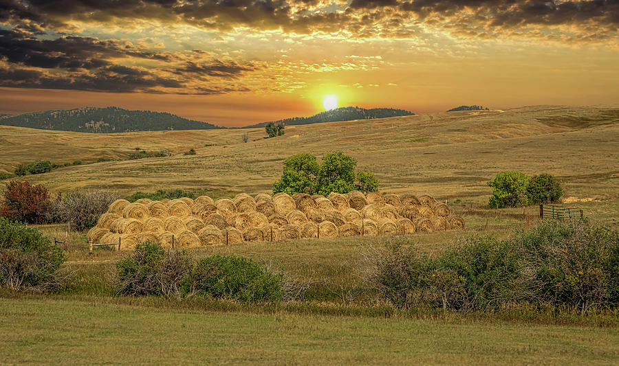 Golden Sunset with Bales Photograph by Nicholas McCabe