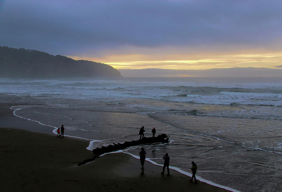 Golden Sunsets Oregon Coast Photograph by Cathy Anderson