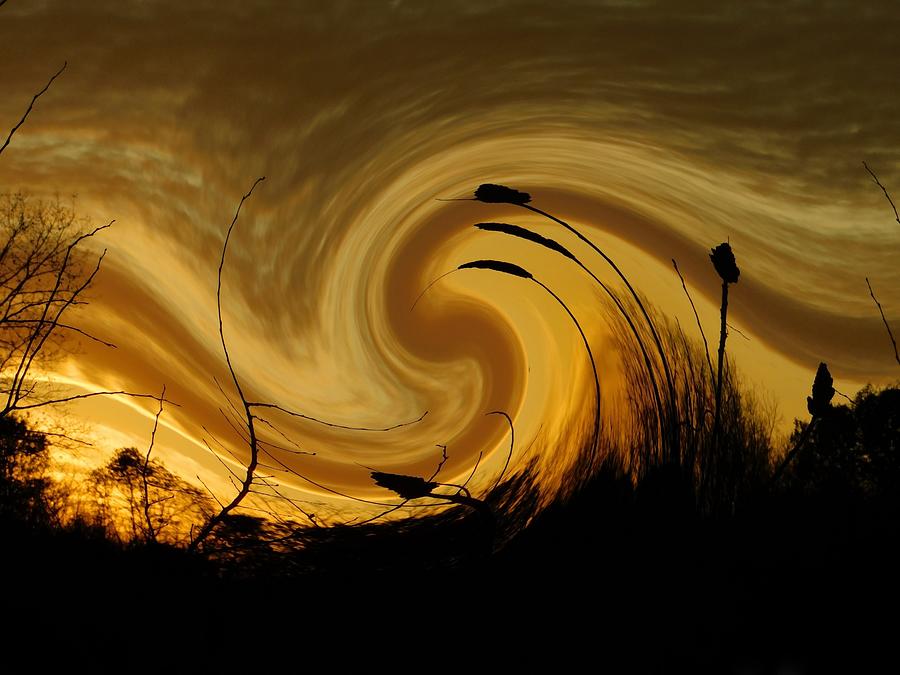 Golden Swirls Photograph by Judy Stepanian