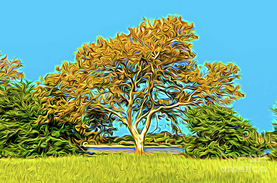 Golden Tree - stylized Photograph by Robert Anastasi