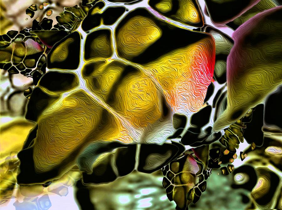 Golden Turtle 1 Digital Art by Aldane Wynter