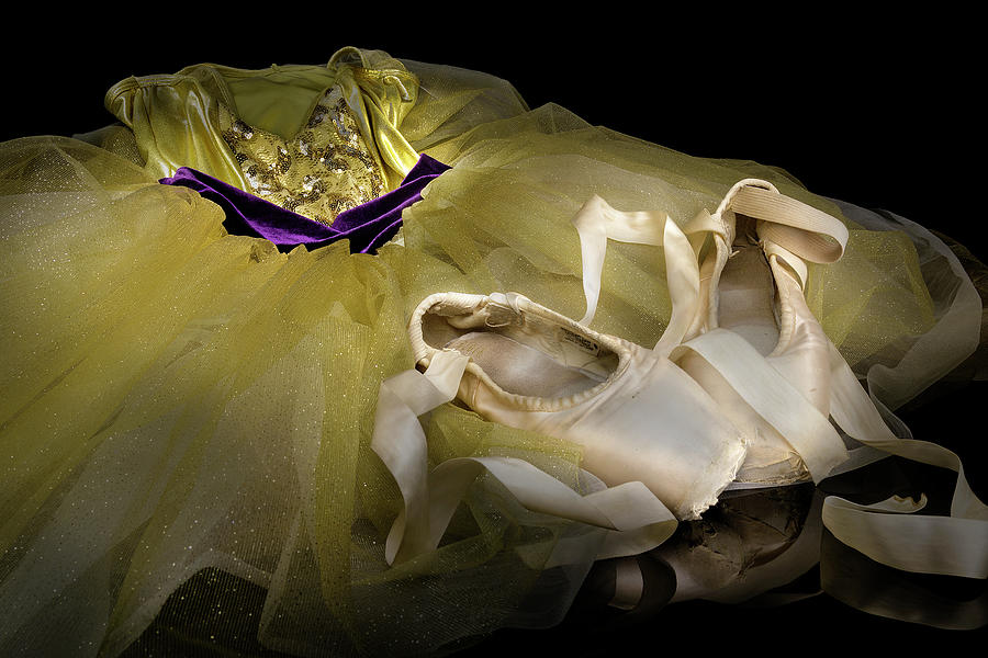 Golden Tutu Photograph by Steve Templeton