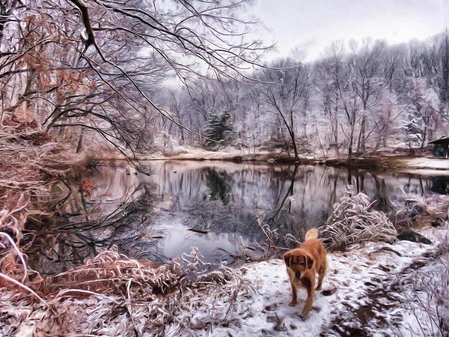 Golden Walk at Winter Pond Digital Art by Russel Considine