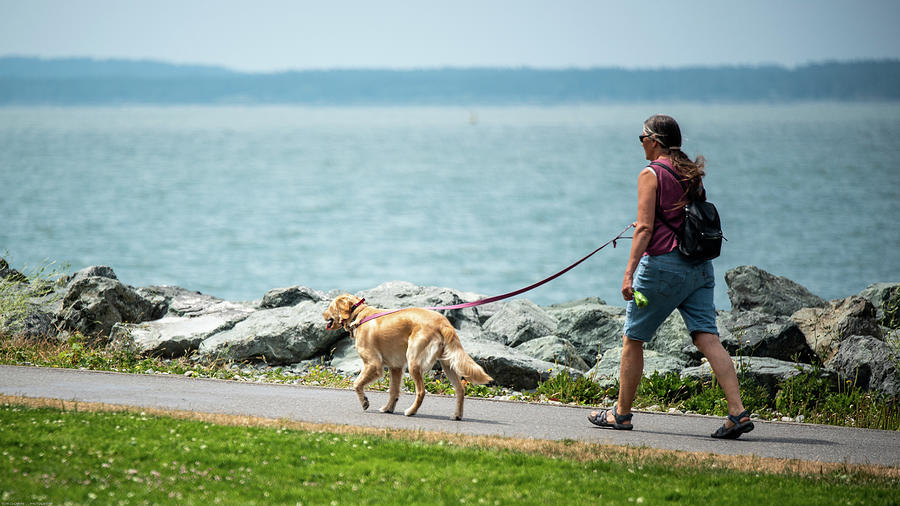Golden Walking By The Bay Photograph by Tom Cochran