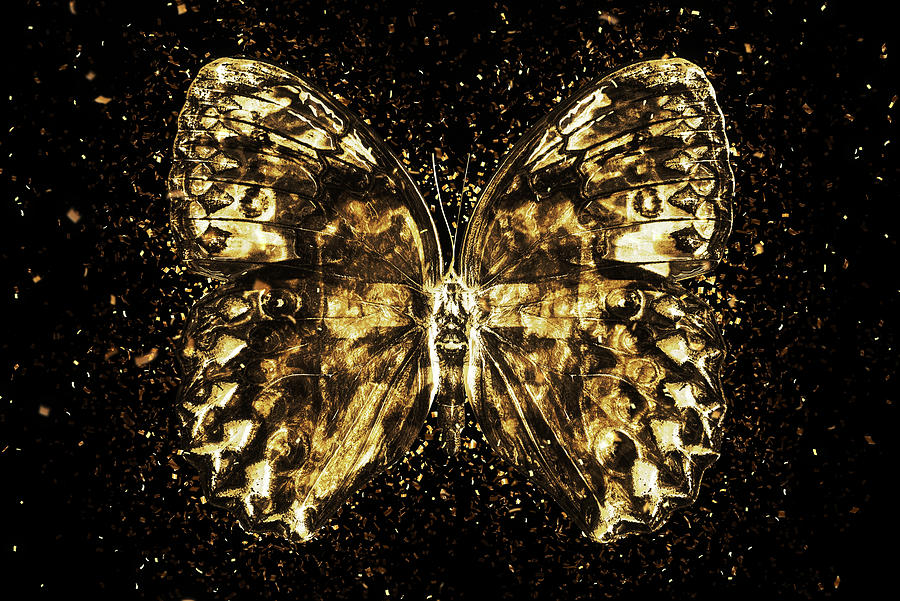 Golden Wall-Art - Butterfly II Digital Art by Philippe HUGONNARD