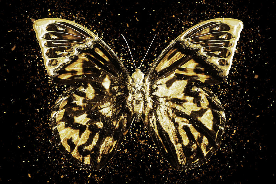 Golden Wall-Art - Butterfly III Digital Art by Philippe HUGONNARD