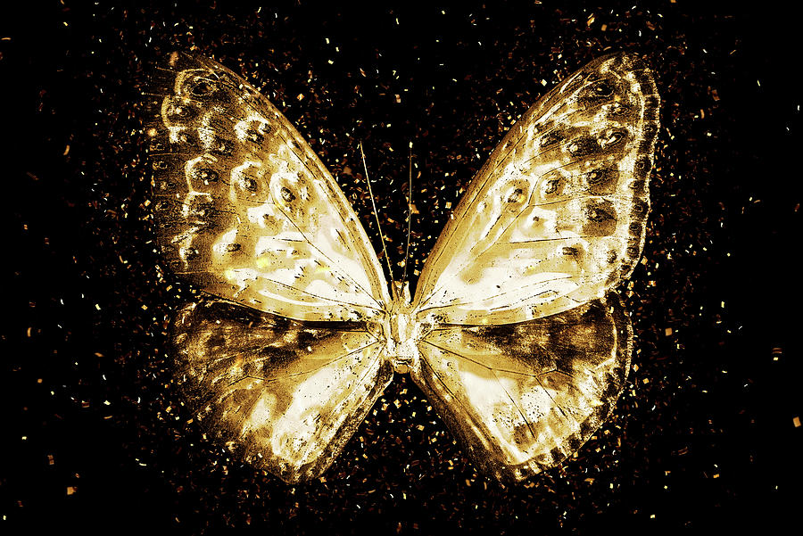 Golden Wall-Art - Butterfly Digital Art by Philippe HUGONNARD