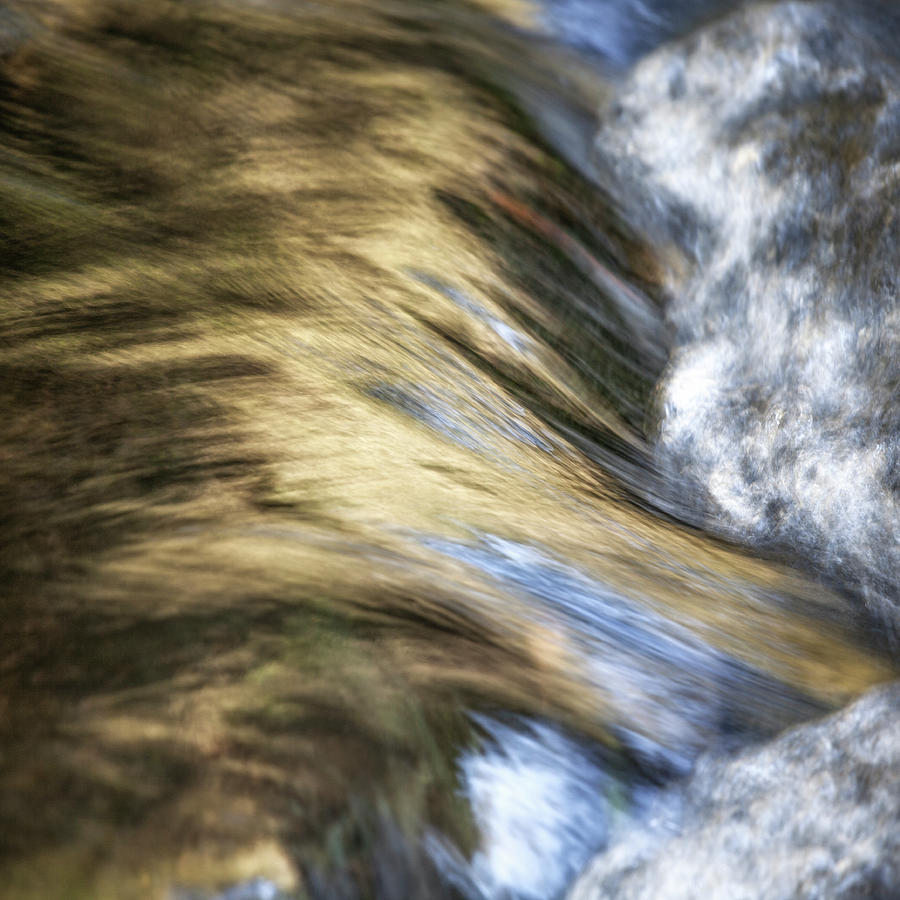 Golden waterfall, Lagunitas Creek Photograph by Donald Kinney