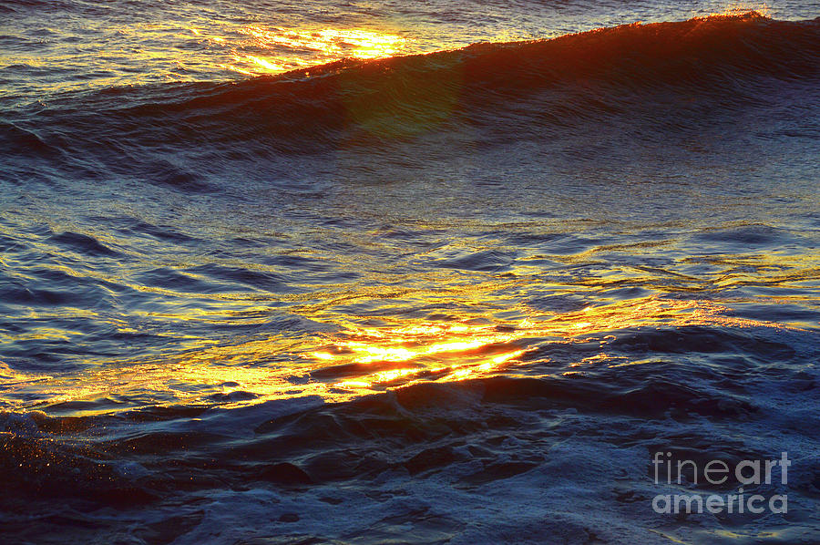 Golden Wave #3 Photograph by Robyn King