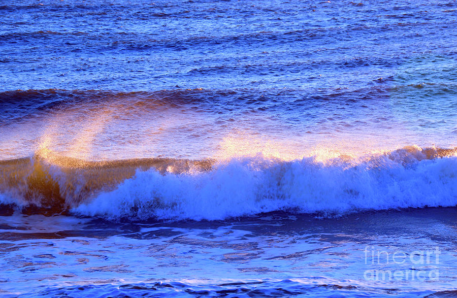 Golden Wave Photograph by Robyn King