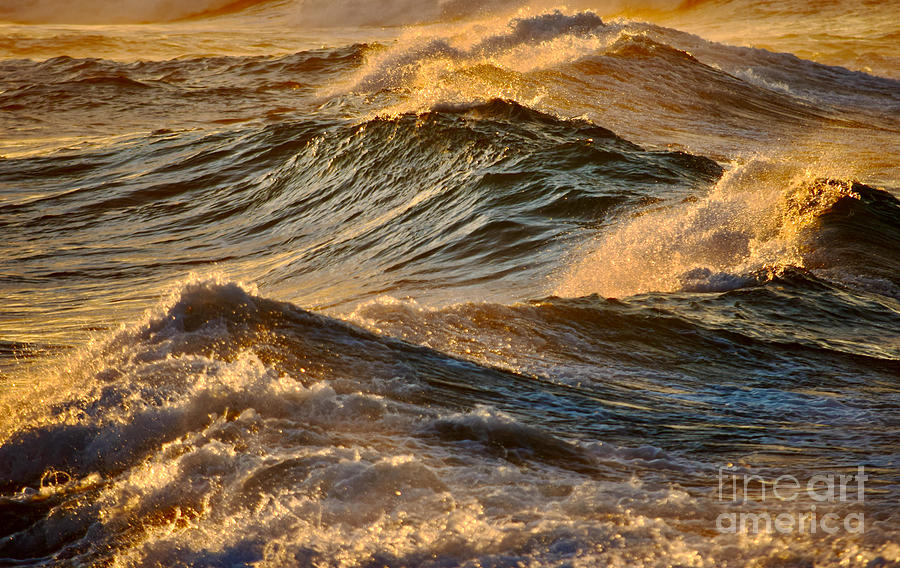Golden Wave Tops Photograph by Debra Banks