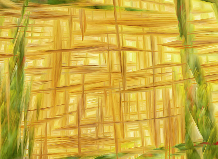 Abstract Photograph - Golden Weave by Cate Franklyn