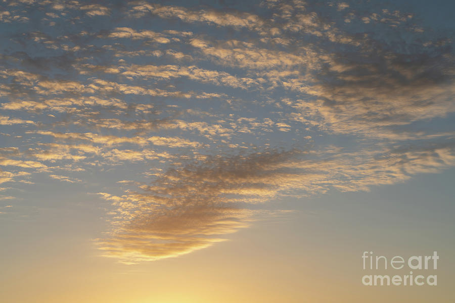 Golden yellow and soft clouds at sunrise. Air meets sunlight Photograph by Adriana Mueller