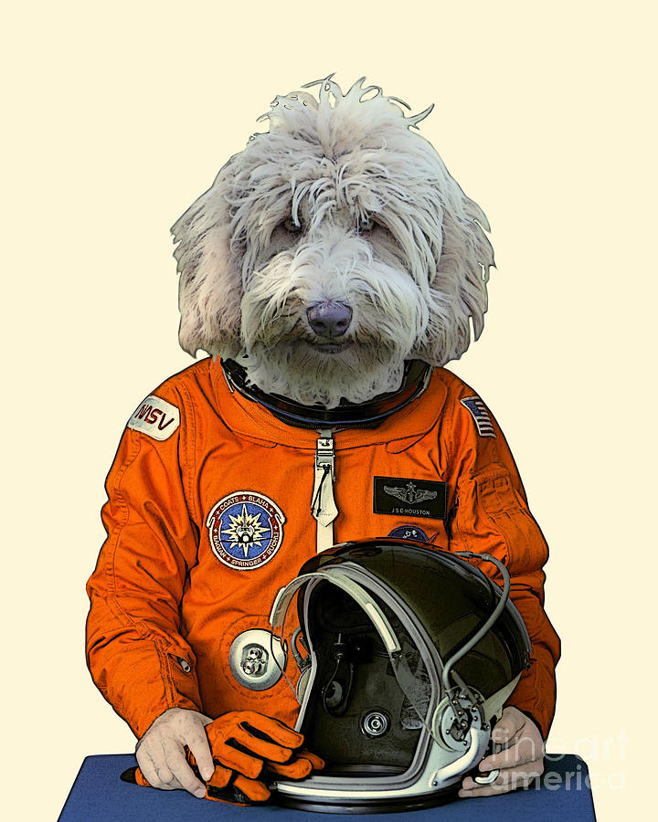 Space Digital Art - Goldendoodle cosmonaut portrait by Madame Memento