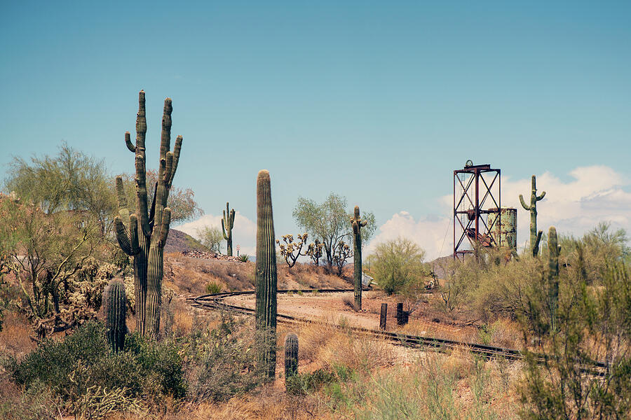 Goldfield Ghost Town Photograph by Ray Devlin