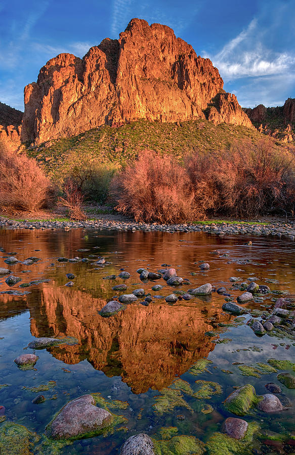 Goldfield Mountain reflections vertical Photograph by Dave Dilli