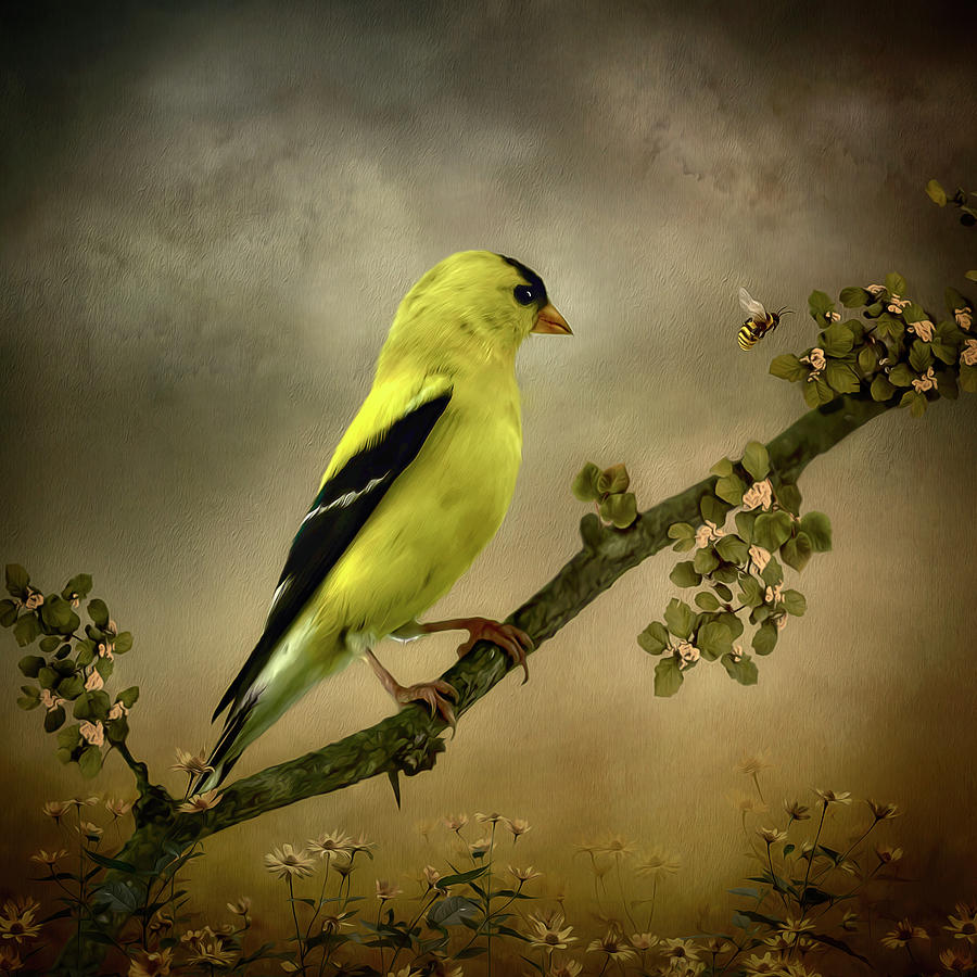 Goldfinch and the Bee Digital Art by Maggy Pease