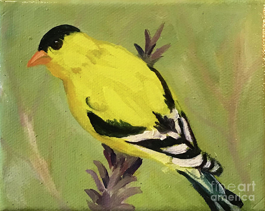 Goldfinch Painting by Anne Marie Brown