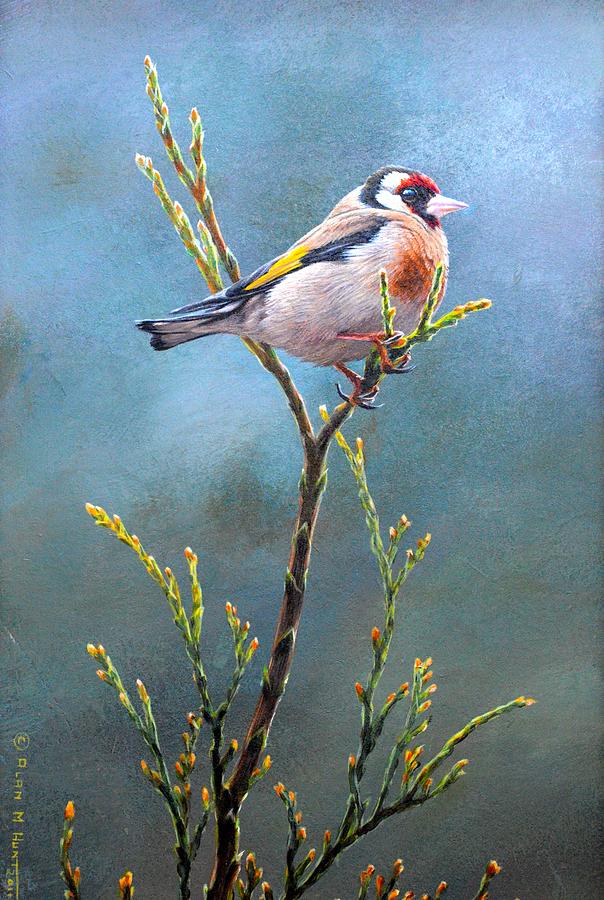 Goldfinch by Alan M Hunt Painting by Alan M Hunt