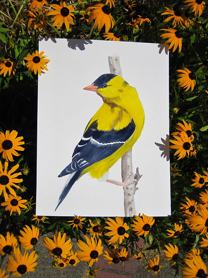 Goldfinch Painting by Dominique Bachelet