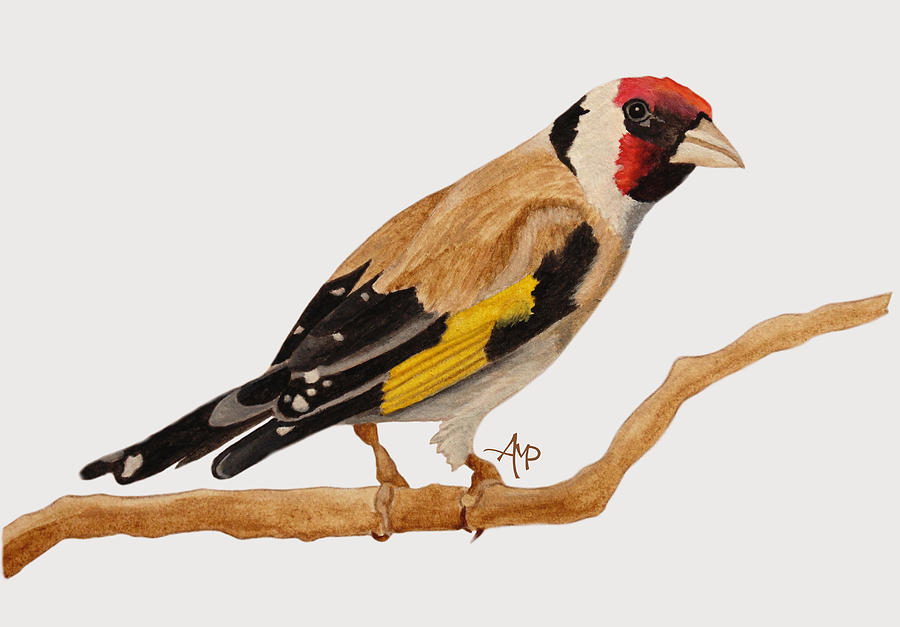 Goldfinch I Painting by Angeles M Pomata