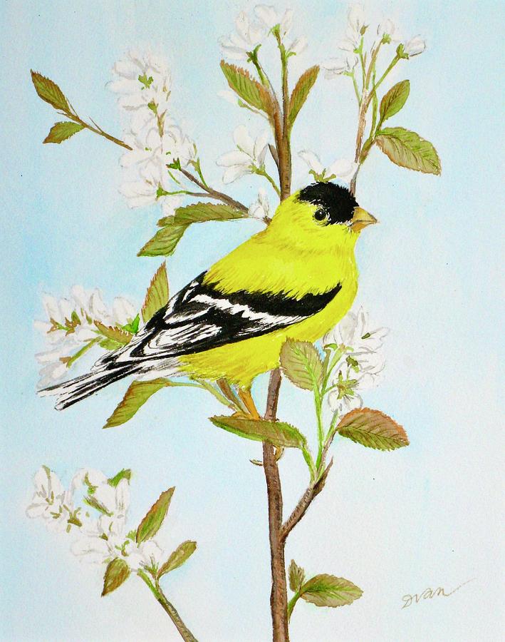 Goldfinch in Springtime Painting by Denise Van Deroef