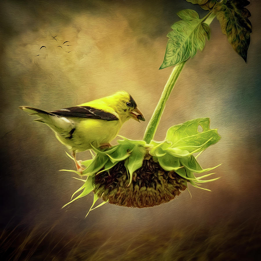 Goldfinch Digital Art by Maggy Pease