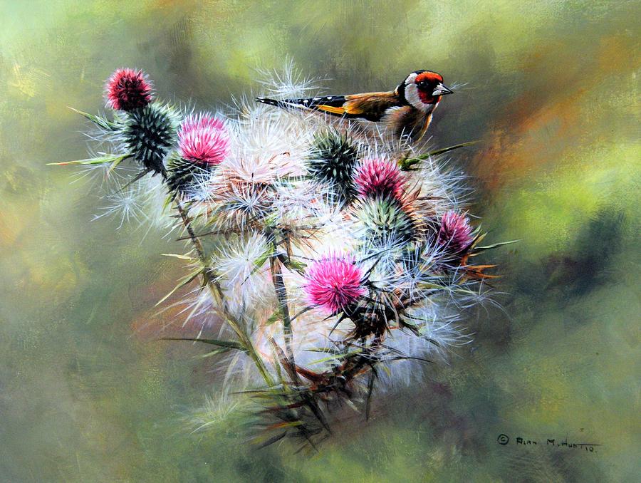 Goldfinch on a Thistle Painting by Alan M Hunt