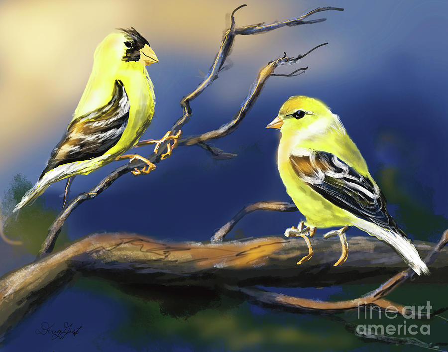 Goldfinch Pair Digital Art by Doug Gist