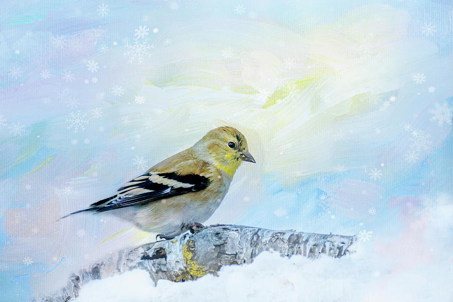 Goldfinch with Pastel Snowflakes Photograph by Patti Deters