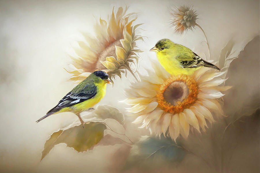 Goldfinches on Sunflowers Photograph by Donna Kennedy