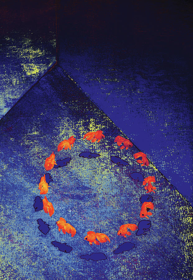 Goldfish Photograph - Fish Oclock  by Daniel Furon