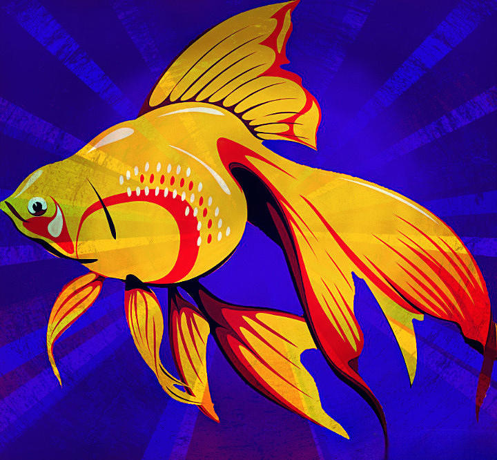 Goldfish Digital Art