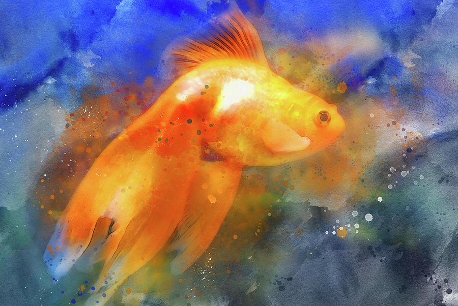 Goldfish watercolour Painting by Igor Klyakhin - Fine Art America