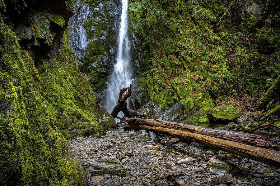 Goldstream Park Waterfalls Photograph by Bill Cubitt