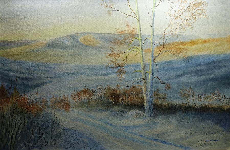 Goldstream Valley Winter Blues Painting by Deborah Horner
