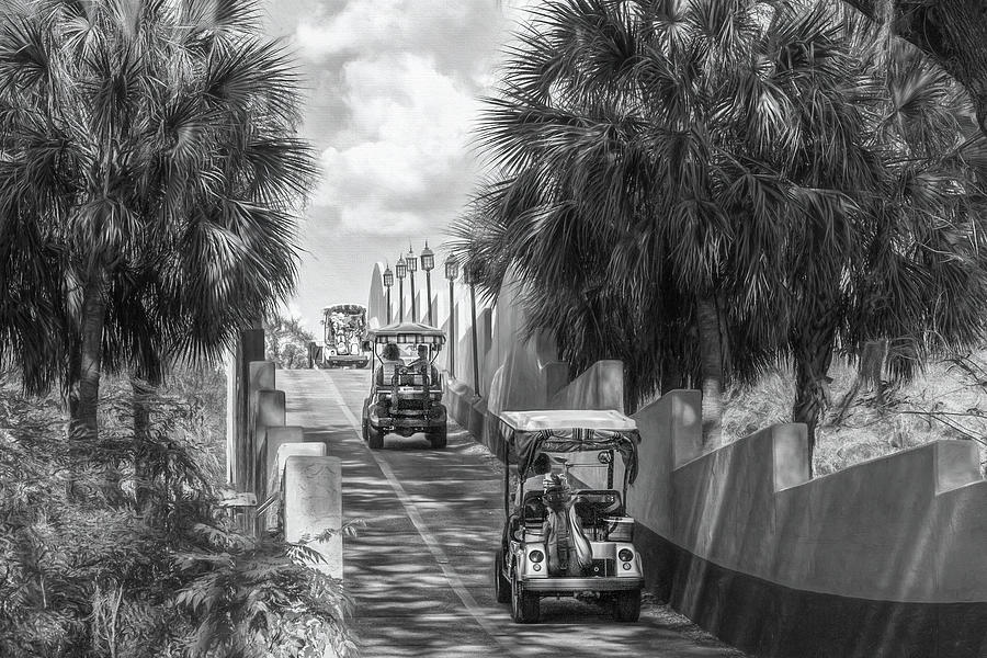 Golf Cart Bridge in Black and White Photograph by Betty Eich