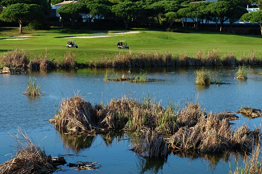Golf carts and pond in Quinta do Lago Photograph by Angelo DeVal
