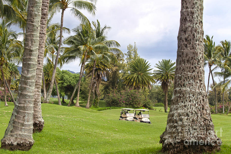 Golf Carts at Poipu Bay, Kauai, Hawaii Photograph by Catherine Sherman