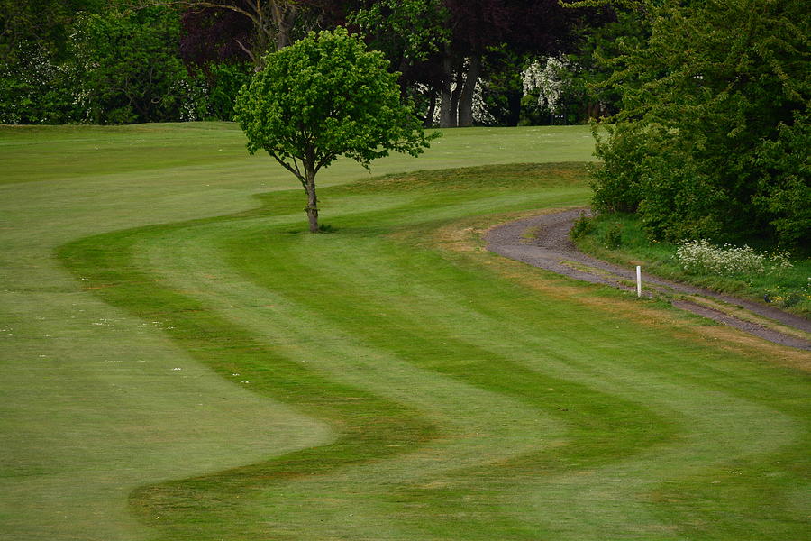 Golf Course Photograph