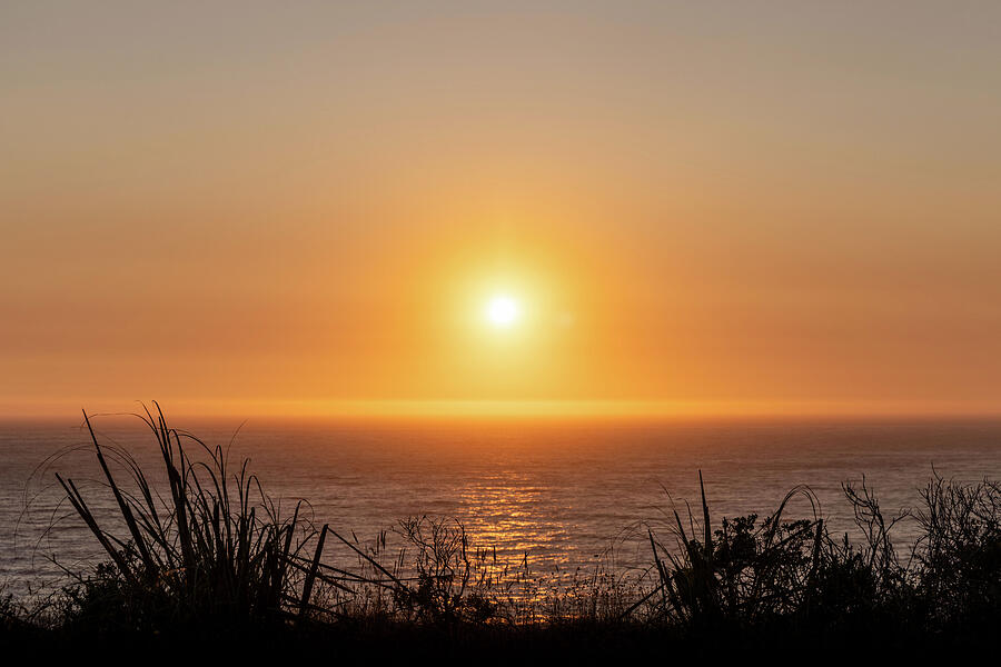 Gollden Horizon Line Over The Ocean Photograph by Good Focused Gollden Horizon Line Over The Ocean Photograph by Good Focused