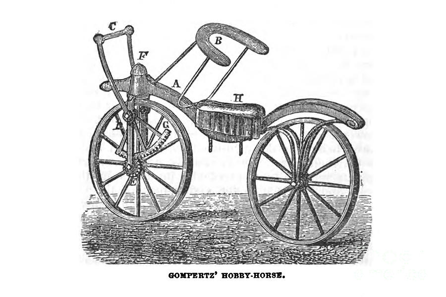 Gompertz Hobby-Horse a1 Photograph by Historic illustrations