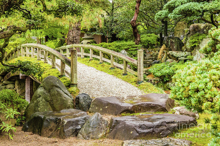 Gonaitei garden at Kyoto imperial palace Photograph by Lyl Dil Creations