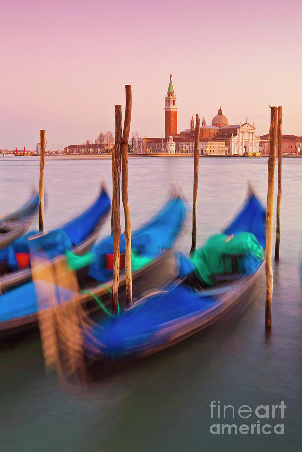 Gondolas moored at St Marks Basin waterfront, Venice, Italy Photograph by Neale And Judith Clark