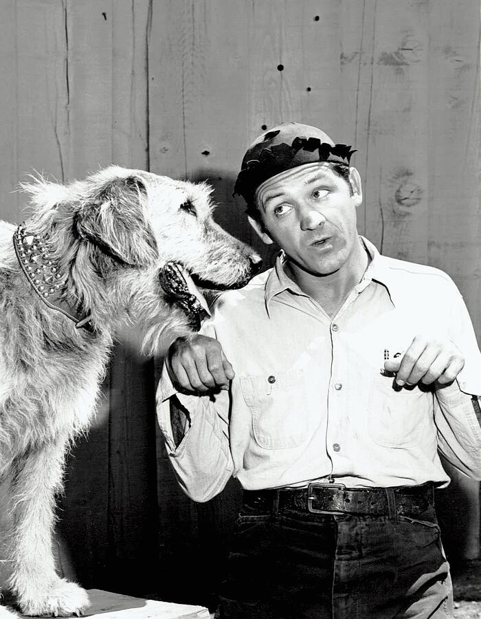 Goober Pyle, Andy Griffith Show 1960 Photograph by Publicity photo ...