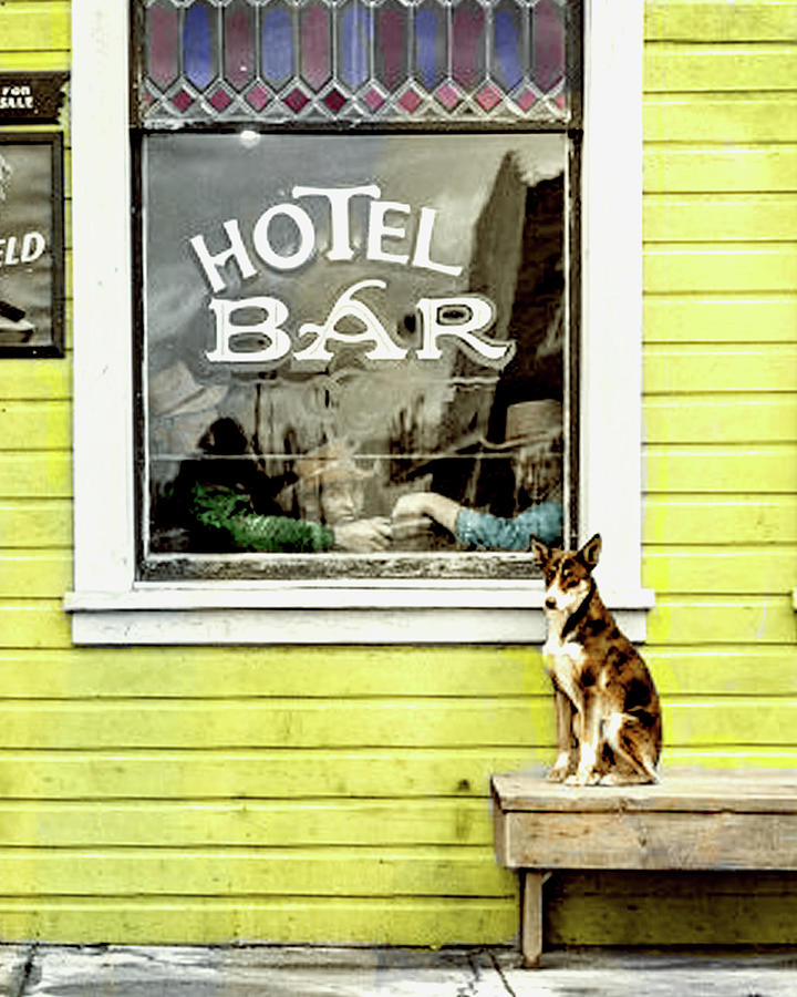 Good Dog Photograph by Timothy Bulone