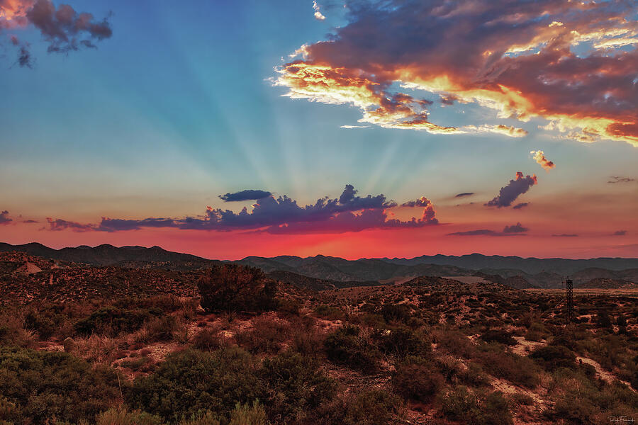 Good Evening Arizona Photograph by Rick Furmanek