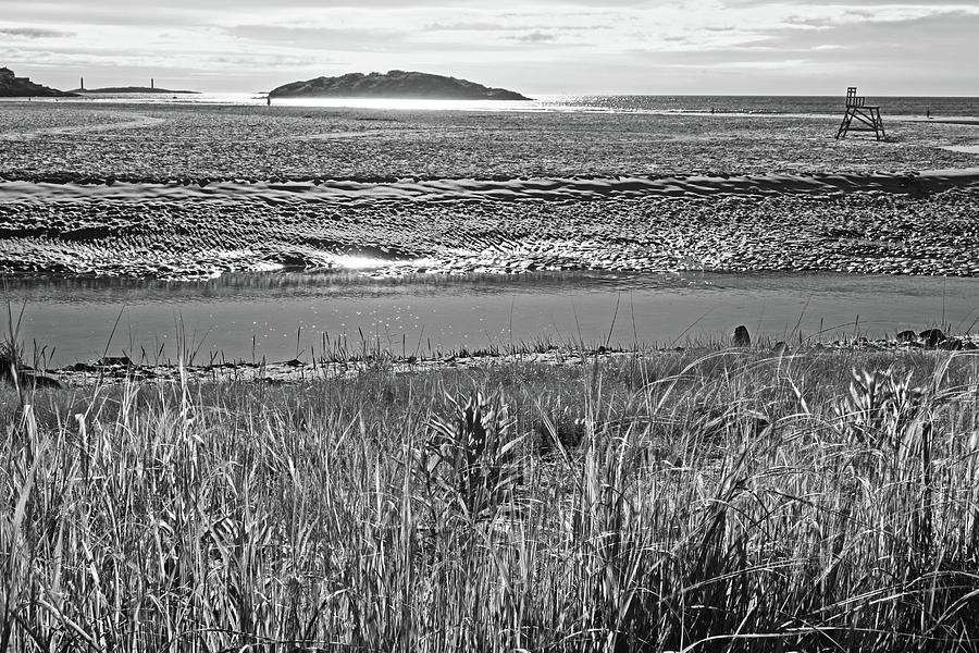 Good Harbor Beach through the grass Black and White Photograph by Toby McGuire