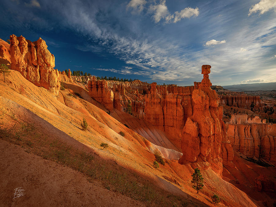 Good Morning Bryce Photograph by Edgars Erglis